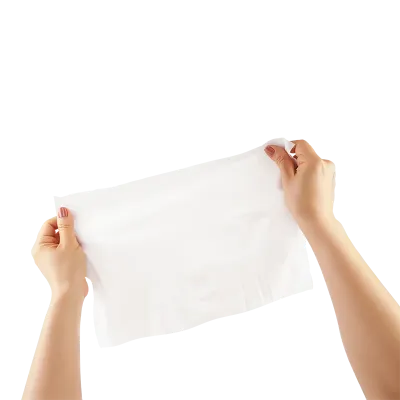 Picture of Flushable Wipes - Adult