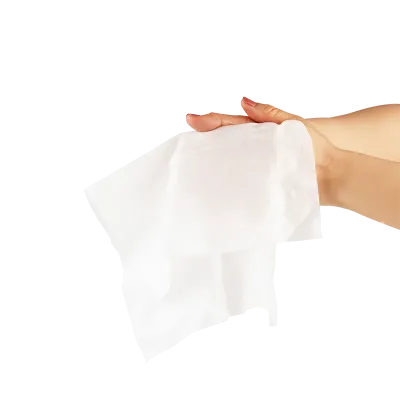 Picture of Flushable Wipes - Adult